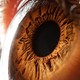 Illustration for article titled Extreme close-ups of human eyes look like craters on Mars